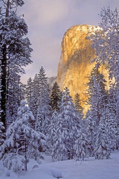 California, Yosemite El Capitan lit by sunlight